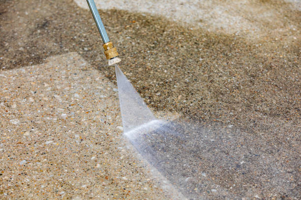 Best Residential Pressure Washing in Hayfield, MN