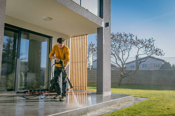 Best Vinyl Siding Pressure Washing in Hayfield, MN