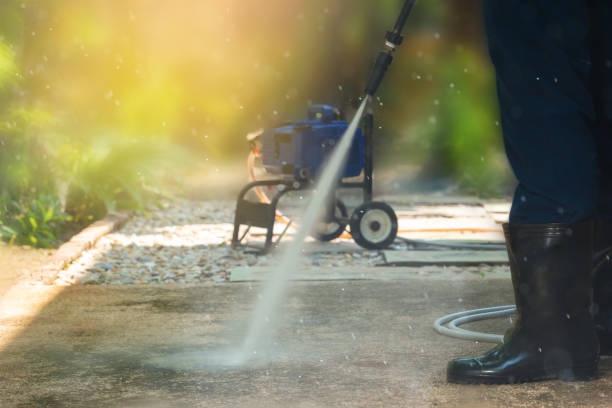 Best Driveway Cleaning and Restoration in Hayfield, MN